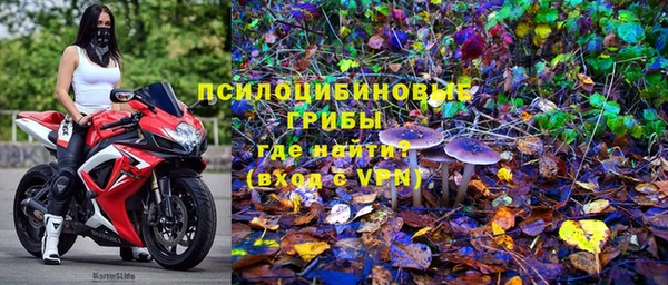 стаф Усинск