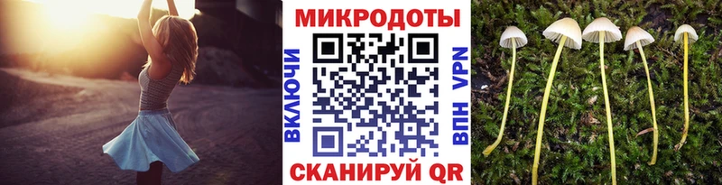 mega вход  Балей  Псилоцибиновые грибы MAGIC MUSHROOMS  дарнет шоп 